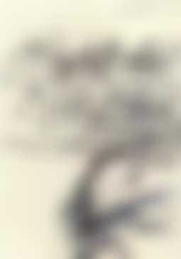 Delusion II (preview)