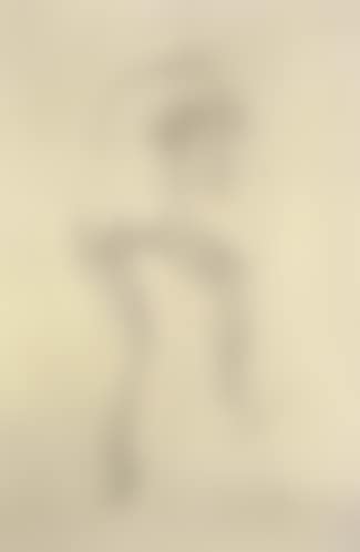Female nude from behind (preview)