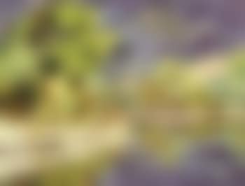 Lake landscape (preview)