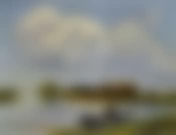 Angler in a rowing boat on a lake (preview)