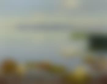 Lake scene with waterlilies (preview)