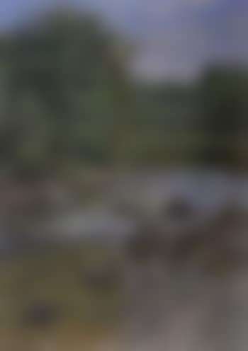 Landscape from Elverum (preview)