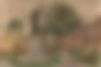 Brielle (preview)