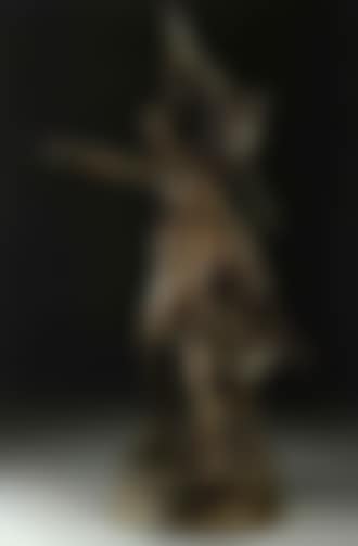 Pro patria (preview)