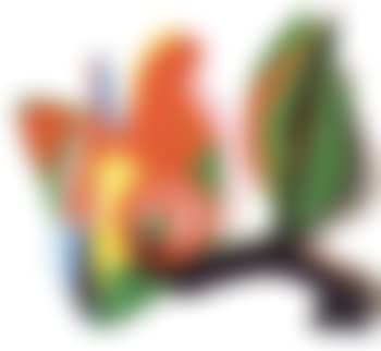 Tulip (preview)