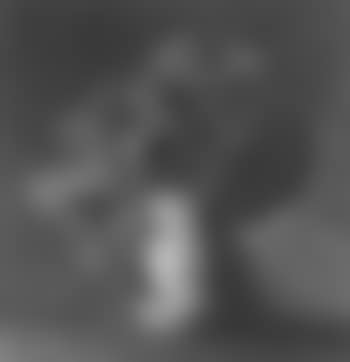 Still life with poppies in porcelain vase (preview)