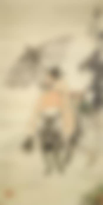 Man riding donkey (preview)