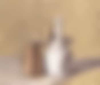 Still life (preview)