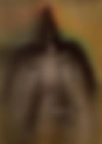Untitled (preview)