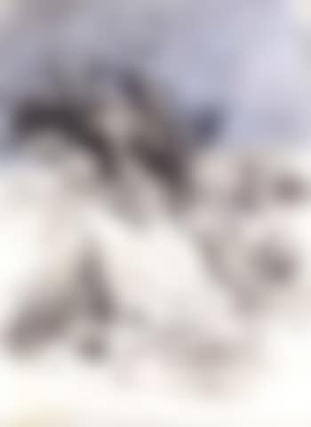 Pig sticking (preview)