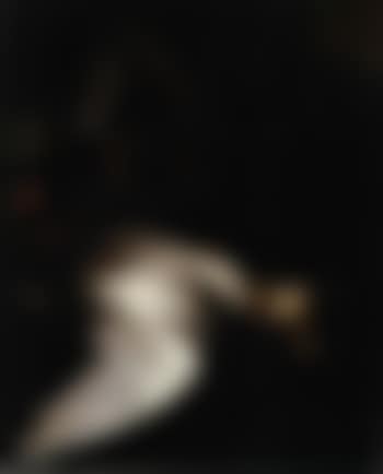 Nature morte au gibier (preview)