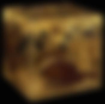 Violon brise (preview)