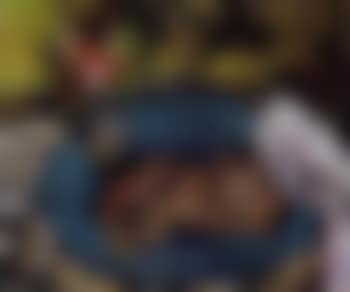 Raminou et le pichet d'oeillets (preview)