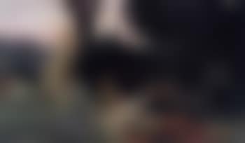 Aurore (preview)
