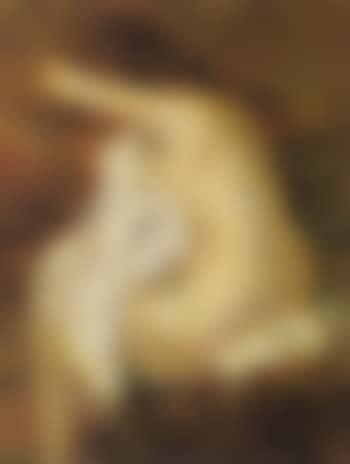Female nude seen from behind (preview)