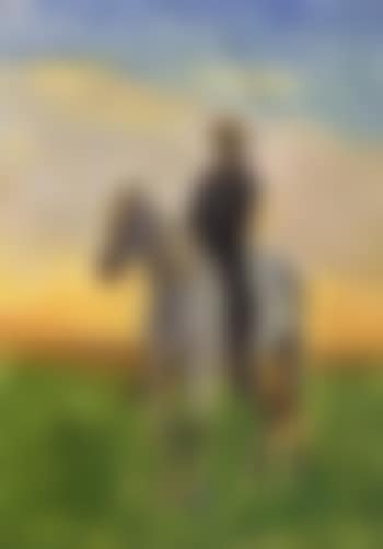 Harvester riding home in evening glow (preview)