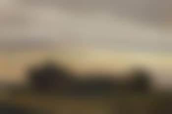 Buildings among trees near the coast (preview)