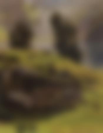 Mountain landscape in summer (preview)
