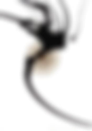 Untitled, spin painting (preview)