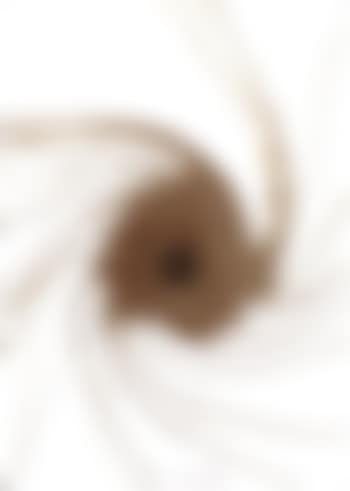 Untitled, spin painting (preview)