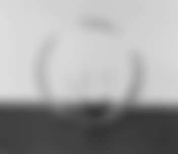 Silver magnetic (preview)