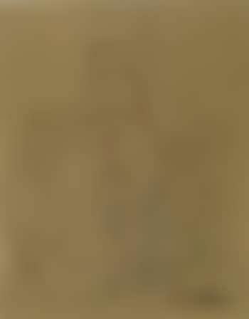 Female nude (preview)