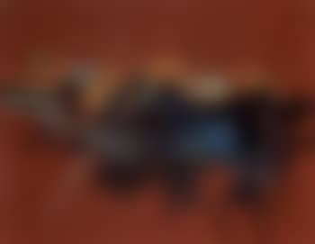 Aube exaltee (preview)