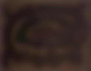 Changing brown (preview)