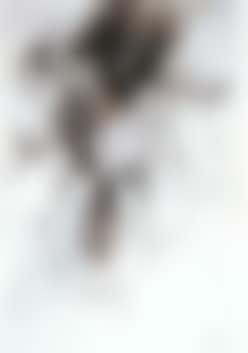 Human relations (preview)