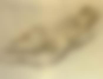 Reclining female nude (preview)