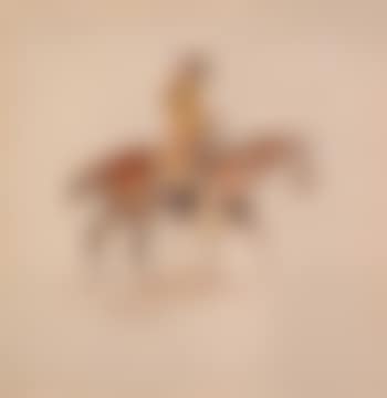 Gaucho (preview)