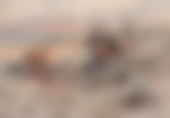 The bolter No.1 (preview)