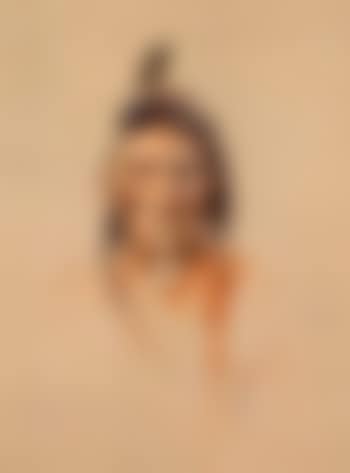 Indian portrait (preview)