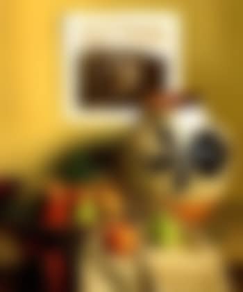 Harvest (preview)