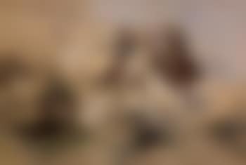 At close quarters, ambushed by Apaches (preview)