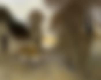 Ferme en Biere (preview)