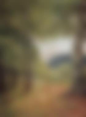 Extensive wooded landscape (preview)