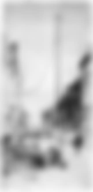 The mast (preview)