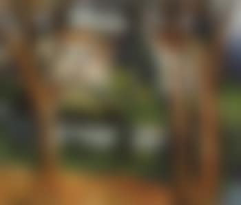 Paysage (preview)