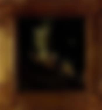 Paysage boise (preview)