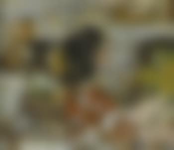 Scene d'interieur (preview)