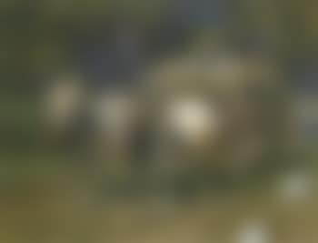 Harvesting the hay (preview)