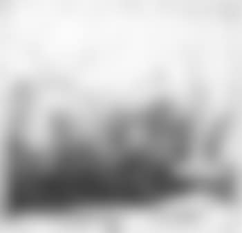 Rowing boat under trees (preview)