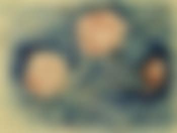 Roses (preview)