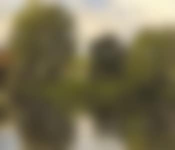 Riviere, village en fond (preview)