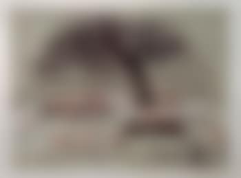He that fled his fate (preview)
