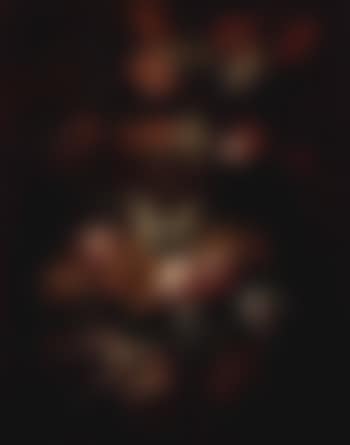 Bouquet of roses and tulips (preview)