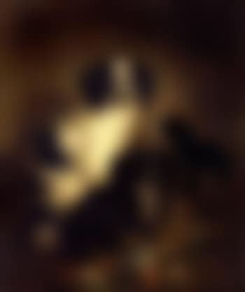 Spaniels (preview)