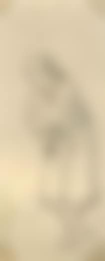 Standing peasant girl (preview)