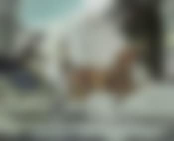 Ride in Berkeley Square (preview)
